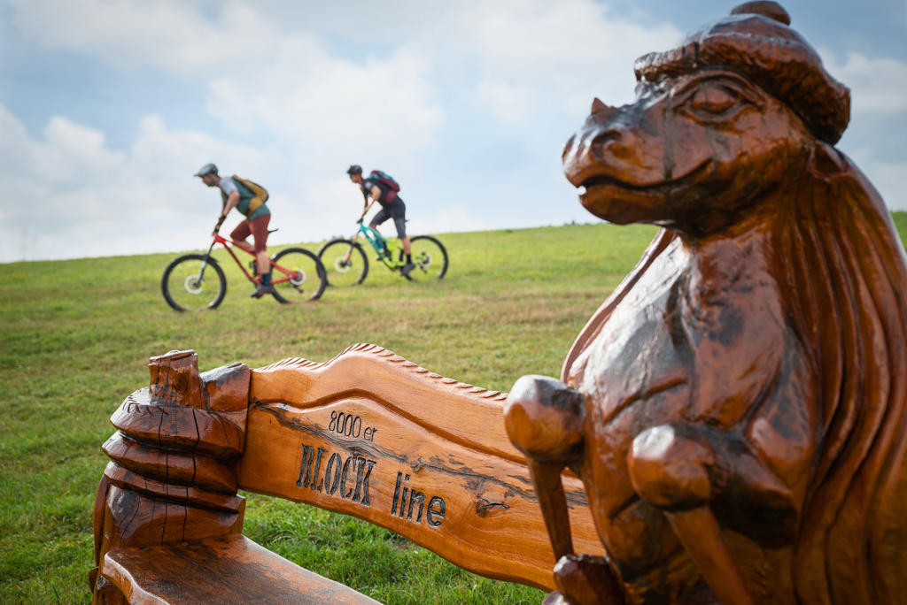 TMGS_SaxTracks_MTB Meilensteine